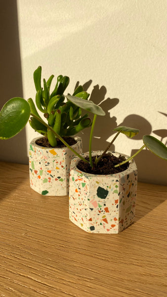 14/05- Smallstuff TerRietzo workshop @ FavoRiet (Hasselt)